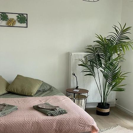 Studio T A 5Mn Euro Airport Avec Terrasse 생루이 외부 사진