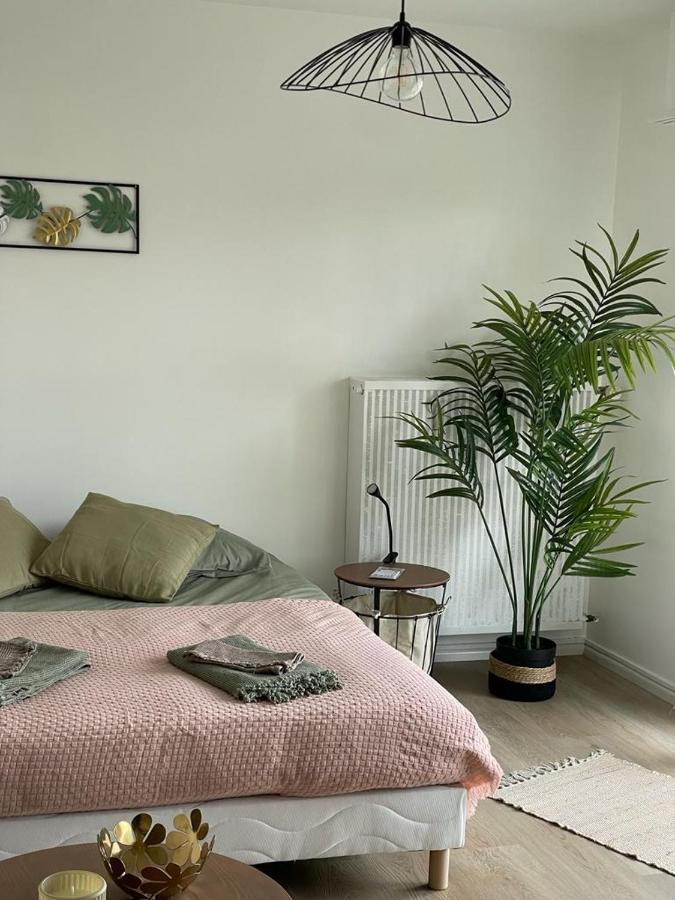 Studio T A 5Mn Euro Airport Avec Terrasse 생루이 외부 사진