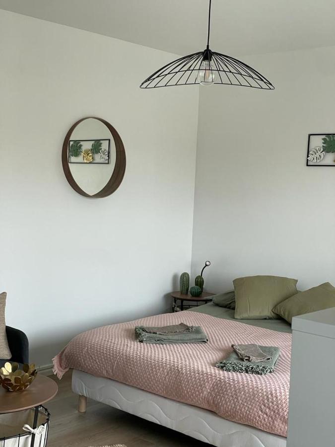 Studio T A 5Mn Euro Airport Avec Terrasse 생루이 외부 사진