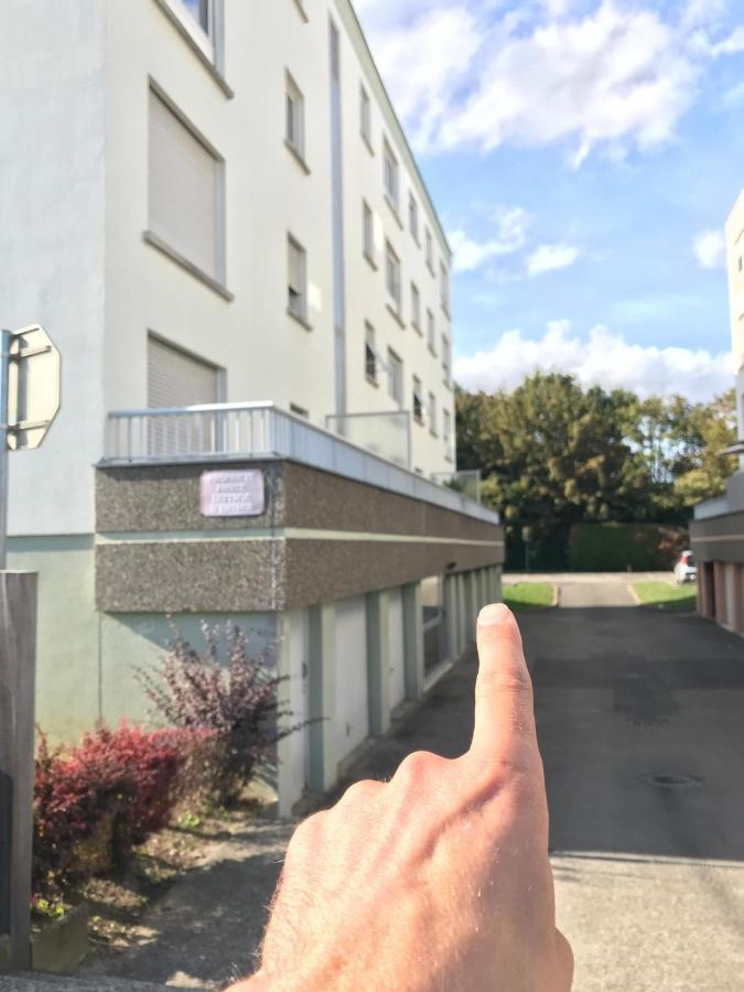 Studio T A 5Mn Euro Airport Avec Terrasse 생루이 외부 사진
